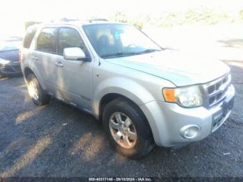  Salvage Ford Escape