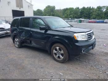  Salvage Honda Pilot