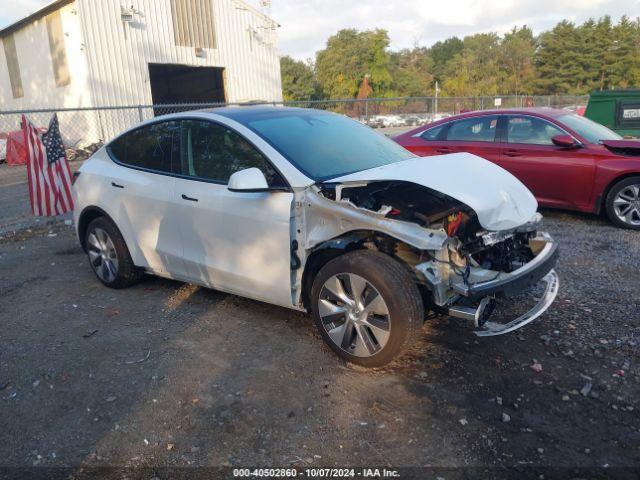  Salvage Tesla Model Y