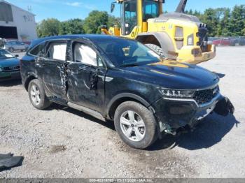  Salvage Kia Sorento