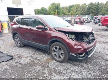  Salvage Honda CR-V