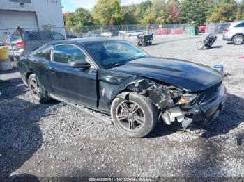  Salvage Ford Mustang