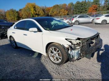  Salvage Nissan Maxima