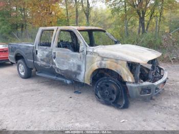  Salvage Ford F-250