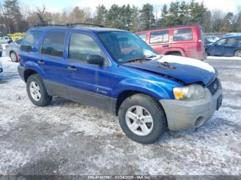  Salvage Ford Escape