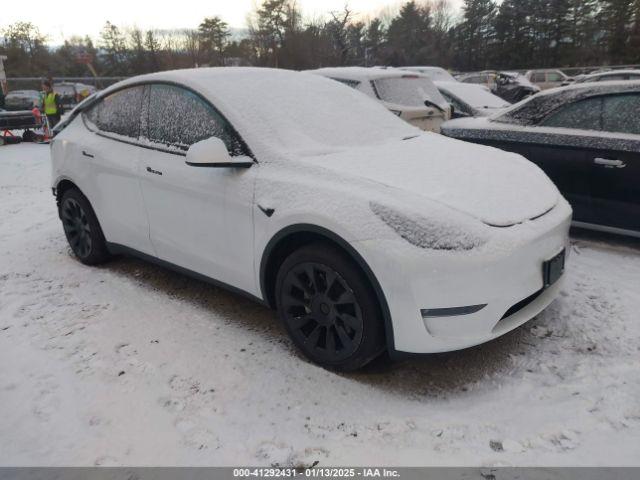  Salvage Tesla Model Y