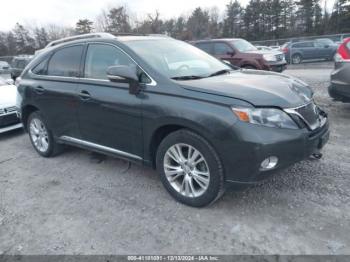  Salvage Lexus RX