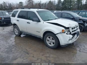  Salvage Ford Escape