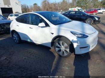  Salvage Tesla Model Y