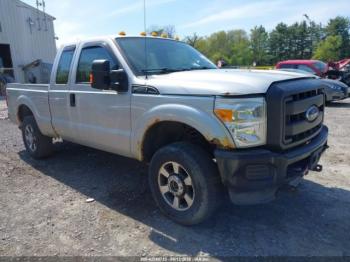  Salvage Ford F-250