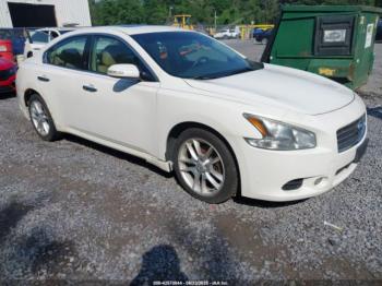  Salvage Nissan Maxima
