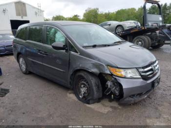  Salvage Honda Odyssey