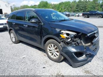  Salvage Kia Sorento