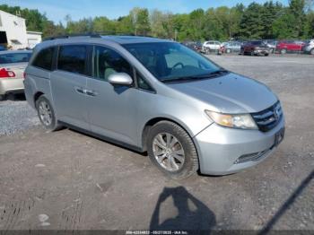  Salvage Honda Odyssey
