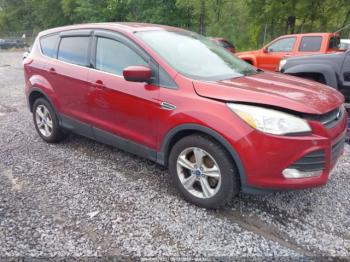  Salvage Ford Escape
