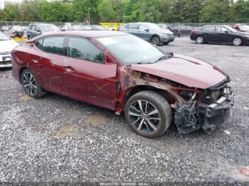  Salvage Nissan Maxima