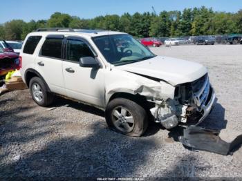  Salvage Ford Escape