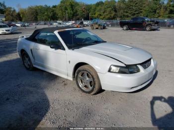  Salvage Ford Mustang