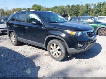  Salvage Kia Sorento