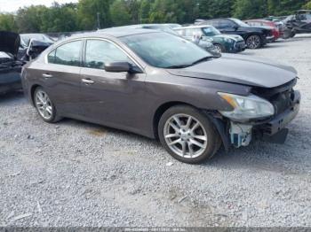  Salvage Nissan Maxima