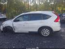 Honda CR-V Ex Image 13