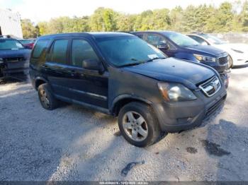  Salvage Honda CR-V