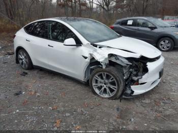  Salvage Tesla Model Y