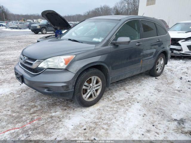 Honda CR-V Ex-l Image 7