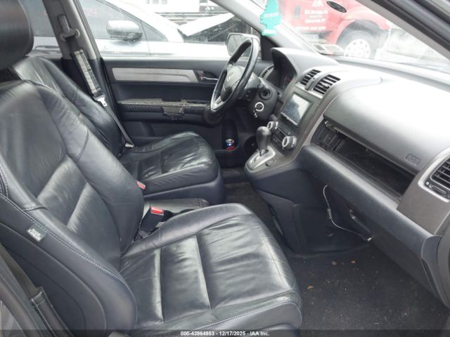 Honda CR-V Ex-l Image 5