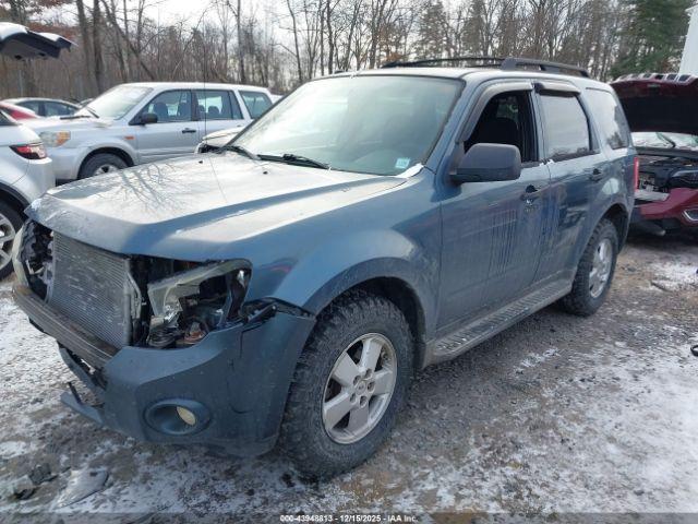Ford Escape Xlt Image 2