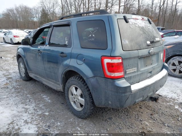 Ford Escape Xlt Image 8