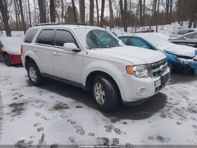 Ford Escape Limited Image 1