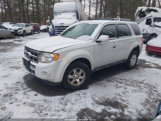 Ford Escape Limited Image 2