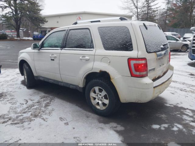 Ford Escape Limited Image 3