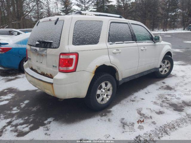 Ford Escape Limited Image 6