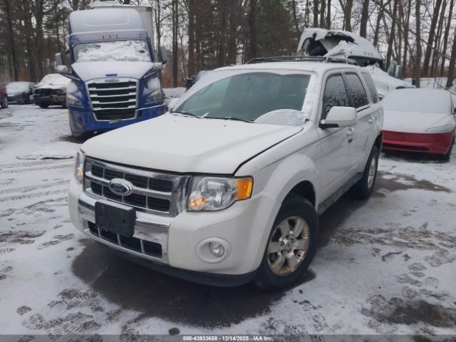 Ford Escape Limited Image 8