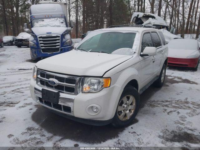 Ford Escape Limited Image 8