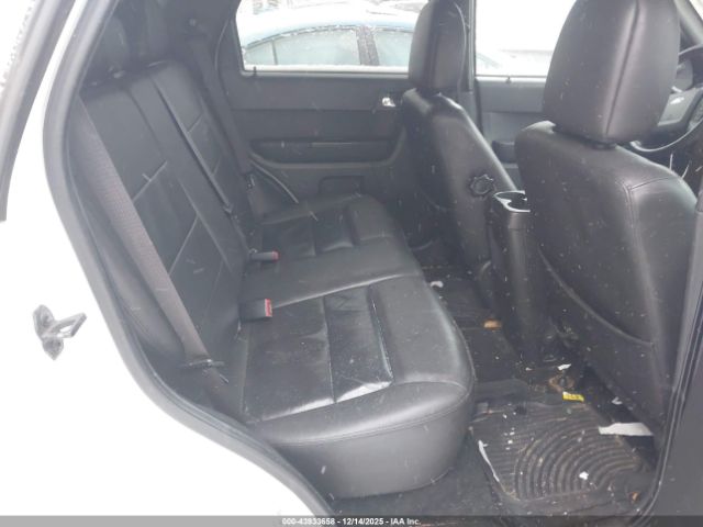 Ford Escape Limited Image 5