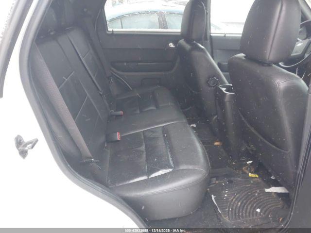 Ford Escape Limited Image 5