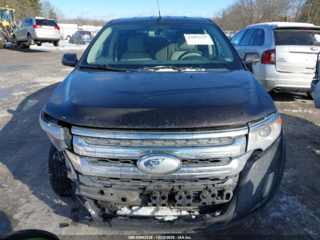Ford Edge Sel Image 8