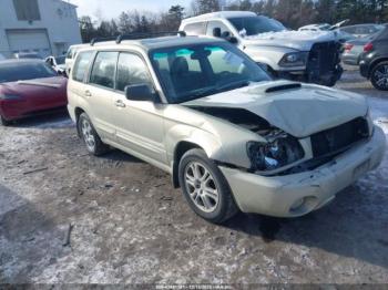  Salvage Subaru Forester