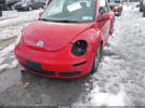Volkswagen Beetle 2.5 Image 11