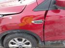 Ford Escape Se Image 12