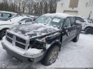 Dodge Dakota Slt Image 9