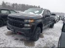 Chevrolet Silverado 1500 Custom Trail Boss Image 9
