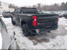Chevrolet Silverado 1500 Custom Trail Boss Image 10