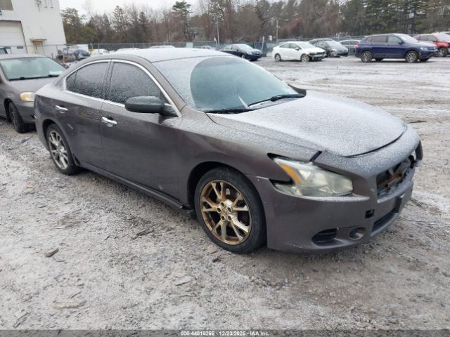 Nissan Maxima 3.5 S Image 1