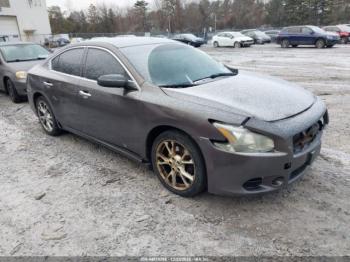  Salvage Nissan Maxima