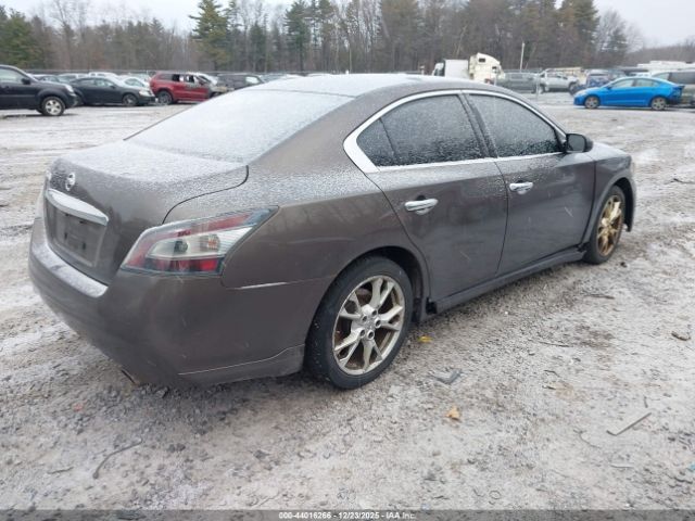 Nissan Maxima 3.5 S Image 2