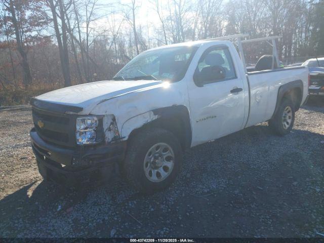 Chevrolet Silverado 1500 Work Truck Image 10